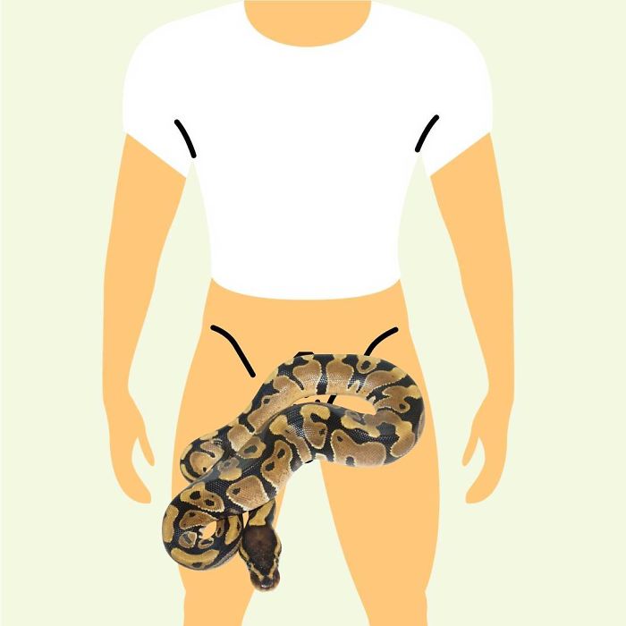 English-Speaking Countries - Schlong, Alias ‘Snake’