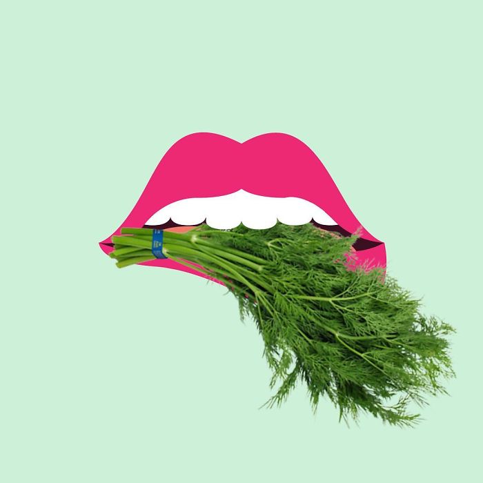 Estonia - Till, Alias 'Dill'