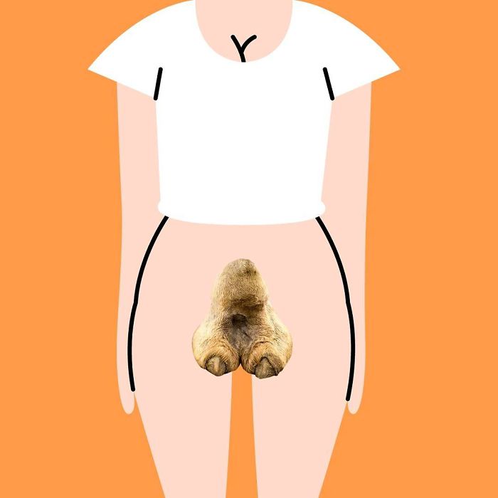 English-Speaking Countries - Camel Toe