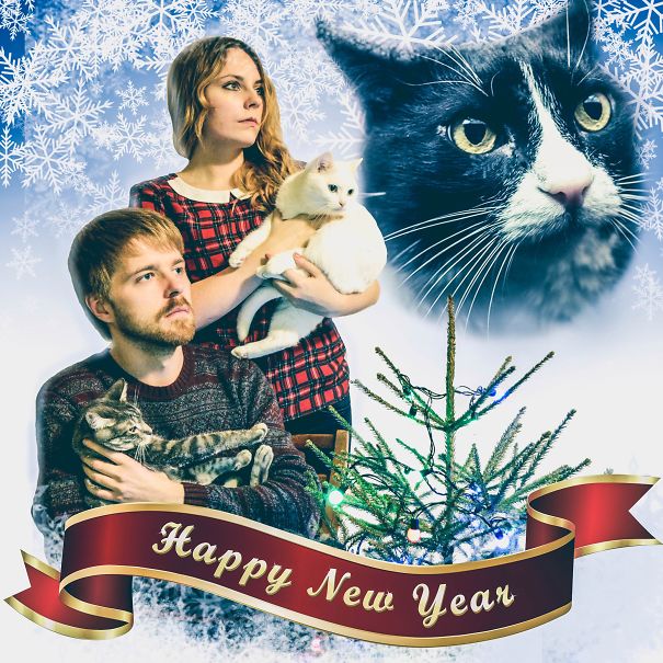 Our Tradition - Weird Photos With Cats