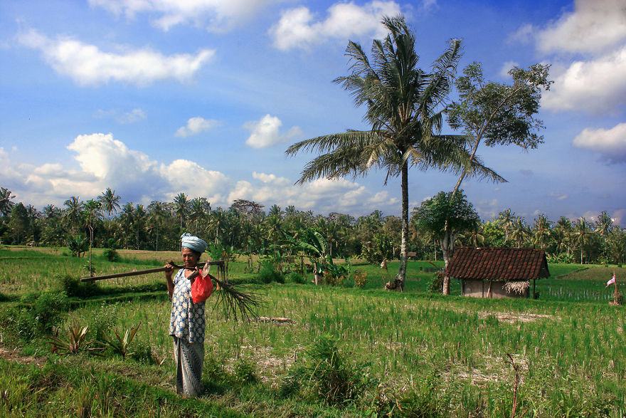 Ubud, Bali, Indonesia