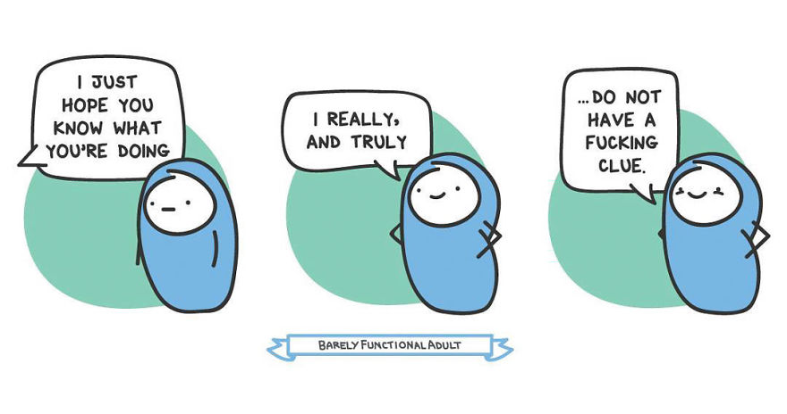 Barely Functional Adult Meichi