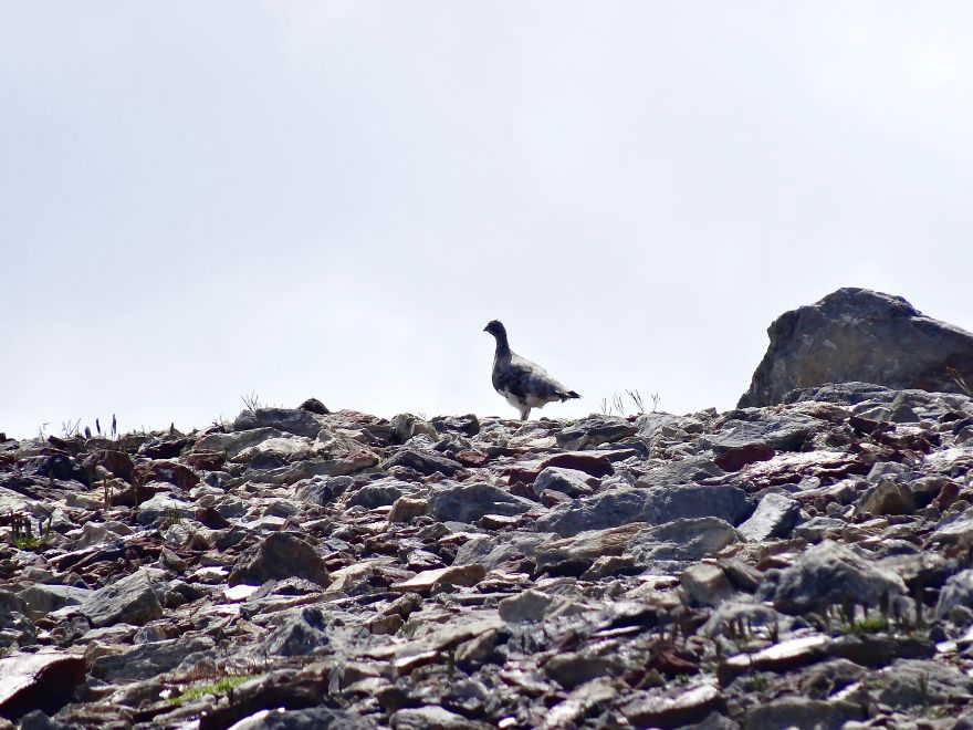 Best Hiking Tour Of My Life