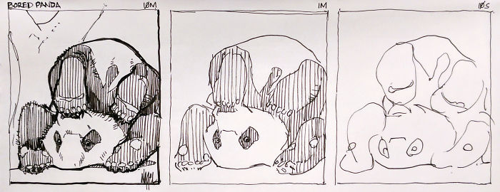 10 Minutes / 1 Minute / 10 Seconds // Bored Panda