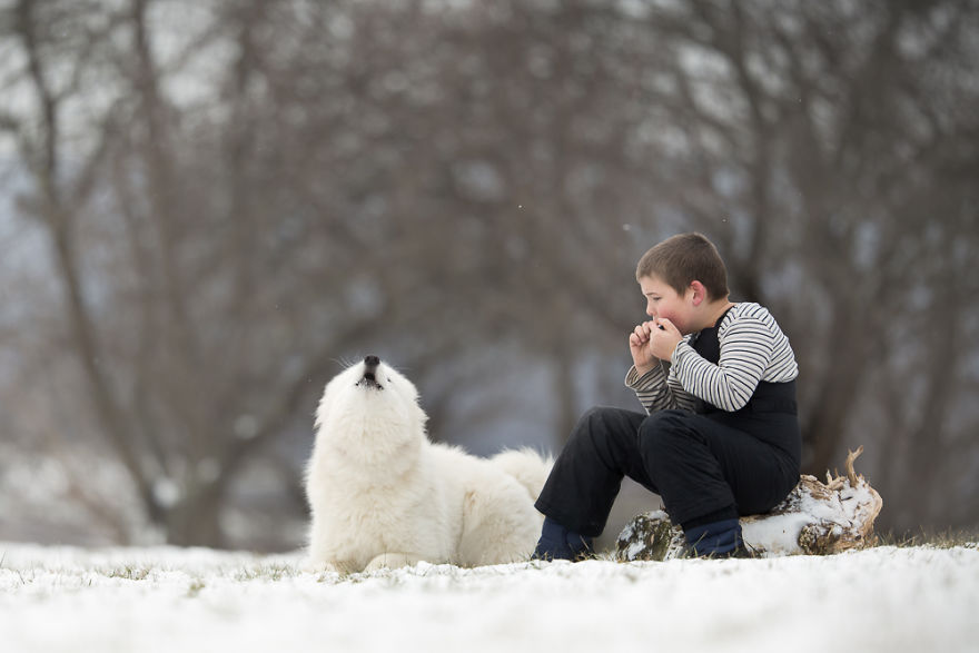 He Sat Alone In The Softly Falling Snow Until His Best Friend Heard Him He Sat Alone In The Softly Falling Snow Until His Best Friend Heard Him