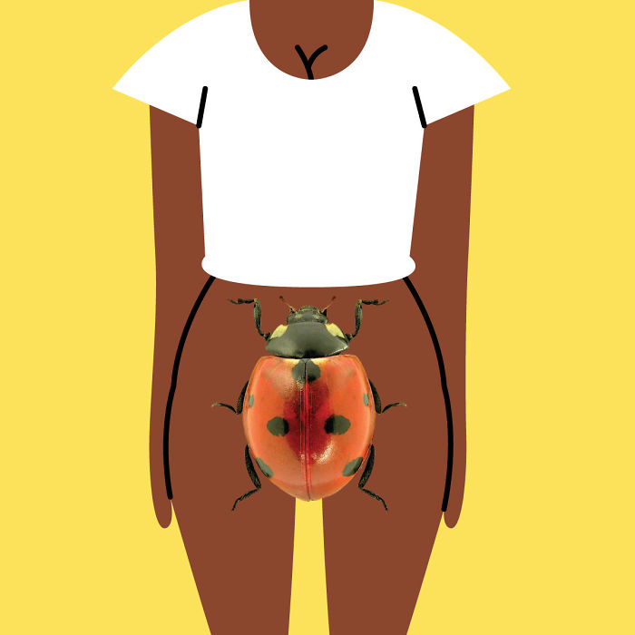 Nicaragua - Bicho, Alias 'Bug'