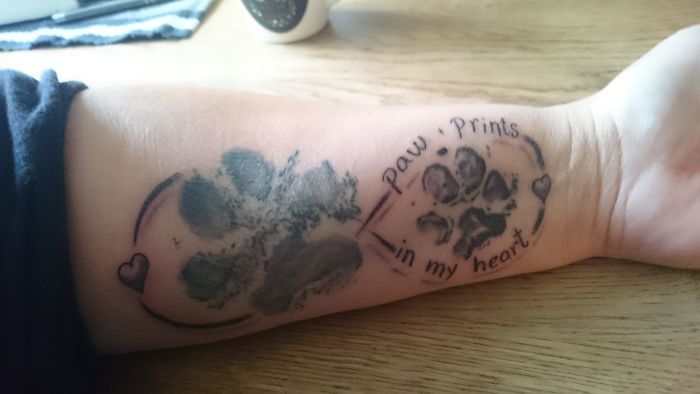 Dog tattoo featuring paw prints with the words "Paw Prints in my heart" on a forearm.