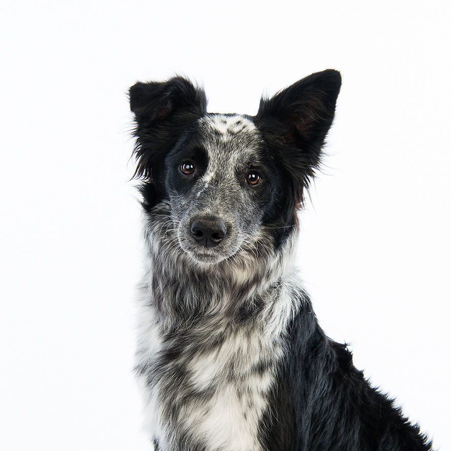 Juno's Adoption Story Began With Her Mom Seeing Her Photo On Facebook And Falling In Love Immediately, And Culminated In A 14 Hour Road Trip To Collect Her From The Other Side Of The Country