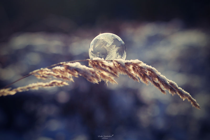 This Is What Happens To A Soap Bubble When Released In Minus Degree Air