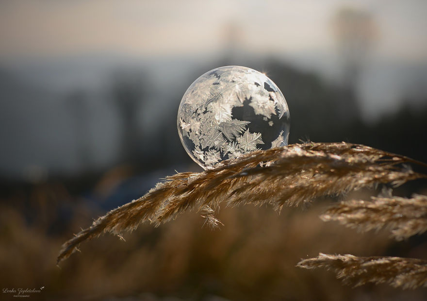 This Is What Happens To A Soap Bubble When Released In Minus Degree Air