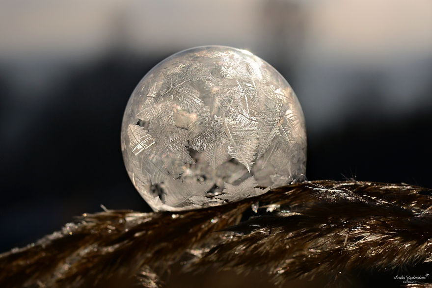 This Is What Happens To A Soap Bubble When Released In Minus Degree Air