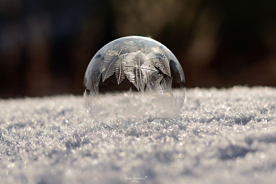 This Is What Happens To A Soap Bubble When Released In Minus Degree Air
