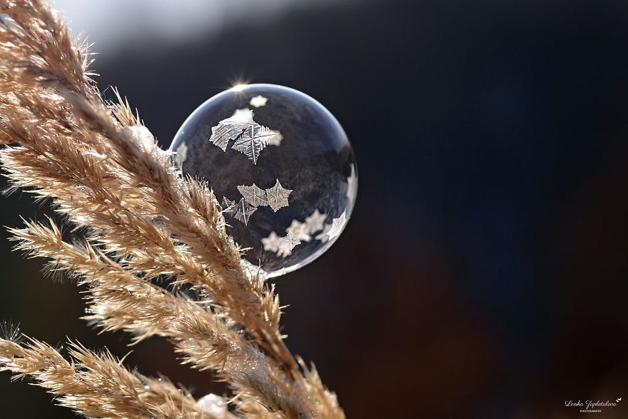 This Is What Happens To A Soap Bubble When Released In Minus Degree Air