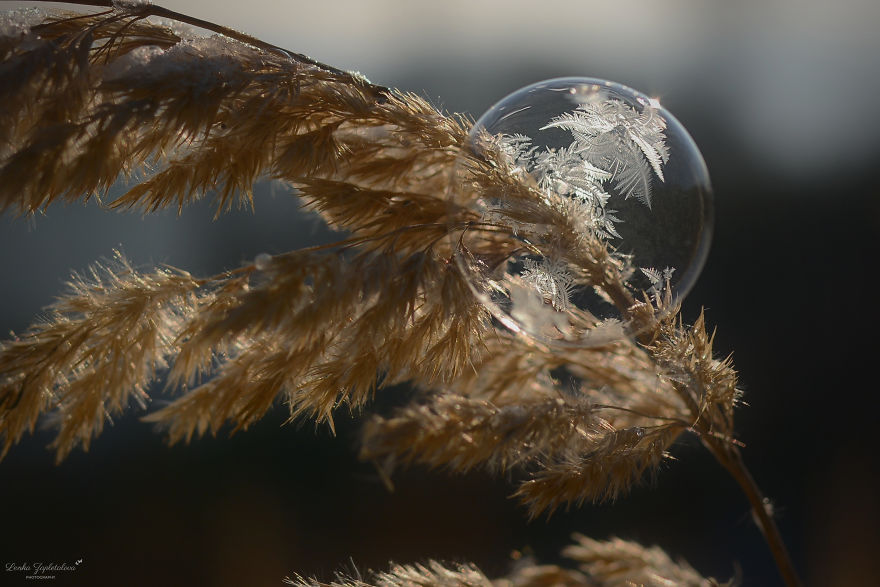 This Is What Happens To A Soap Bubble When Released In Minus Degree Air
