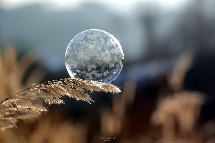 This Is What Happens To A Soap Bubble When Released In Minus Degree Air