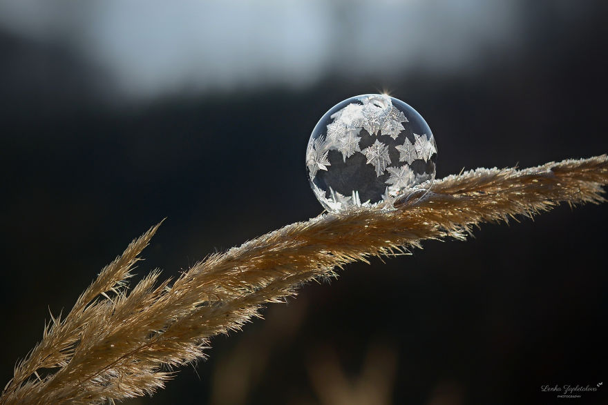 This Is What Happens To A Soap Bubble When Released In Minus Degree Air