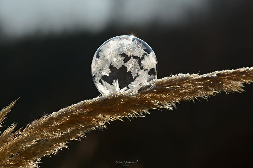 This Is What Happens To A Soap Bubble When Released In Minus Degree Air