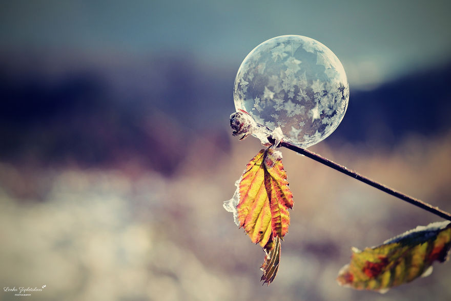 This Is What Happens To A Soap Bubble When Released In Minus Degree Air