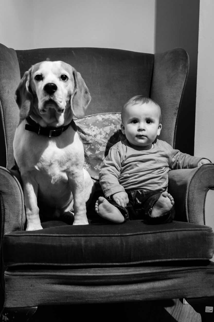 I've Taken A Picture Of My Son And Beagle Every Month For The Last Two Years In The Same Chair