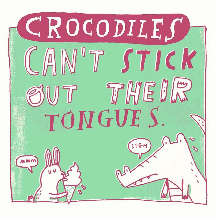 Daily Illustrated Random Facts