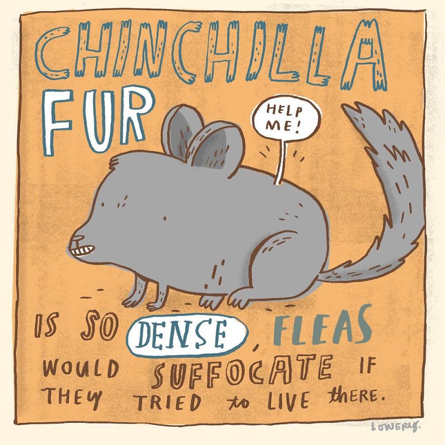 Daily Illustrated Random Facts