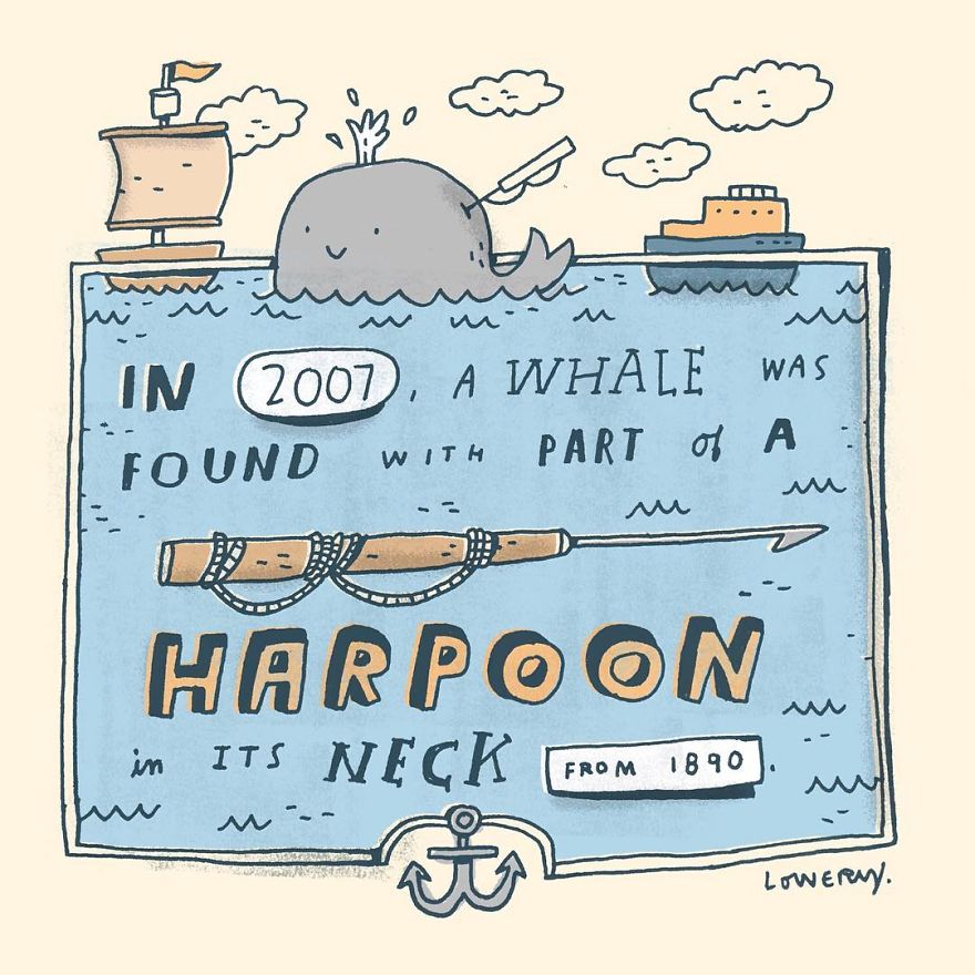 Daily Illustrated Random Facts