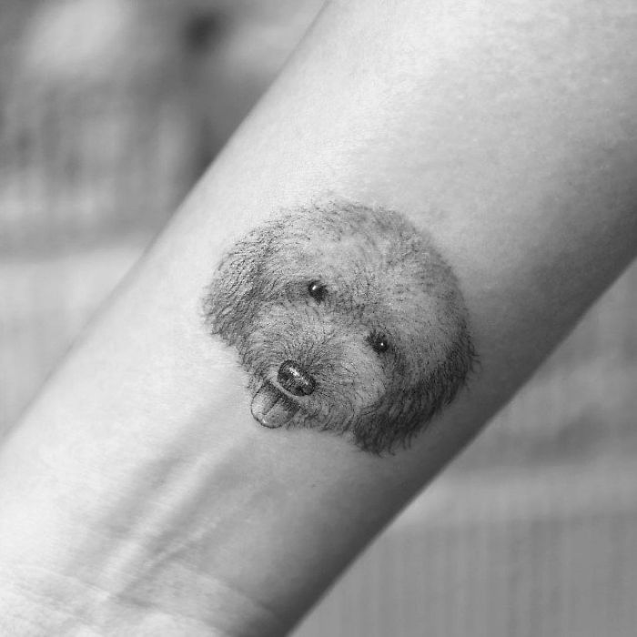 Realistic dog tattoo depicting a fluffy dog's face with its tongue out, on a person's forearm.