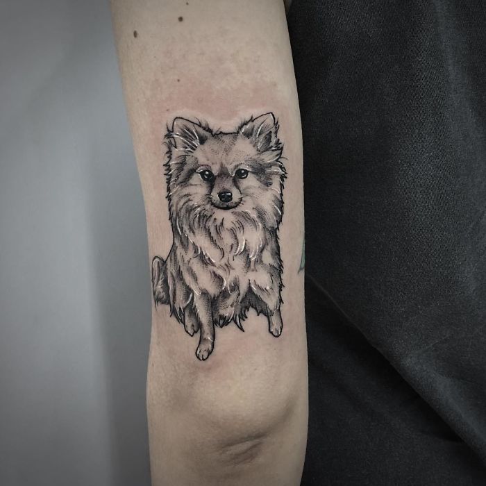 Realistic dog tattoo on inner arm, showcasing detailed fur and lifelike expression.