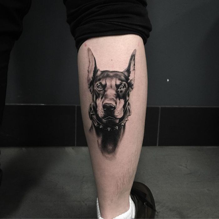 Realistic dog tattoo of a Doberman on a person's calf.