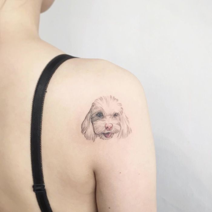 Dog tattoo of a small fluffy dog on a person's shoulder, featuring fine details.