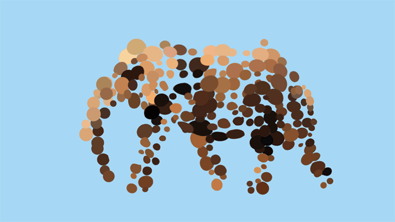 My Gifs Of Animals Emerging From Abstraction My Gifs Of Animals Emerging From Abstraction