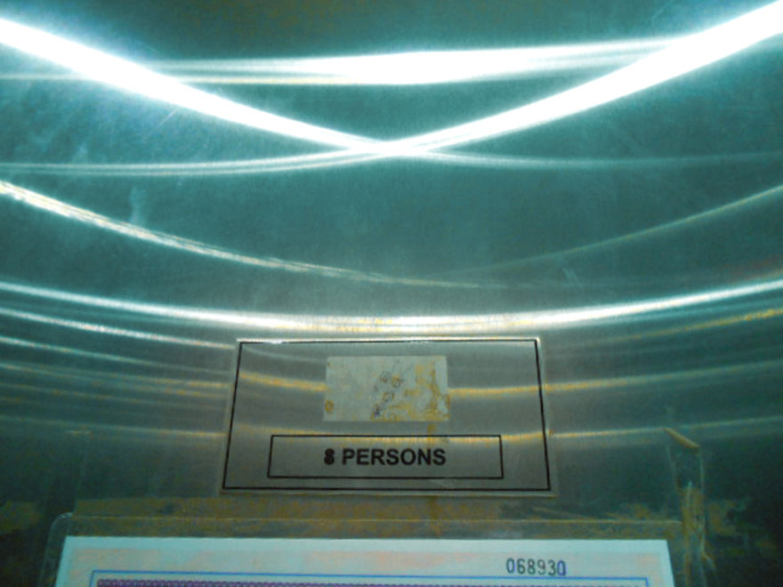 Exercise (No Weight-Watch Lift)