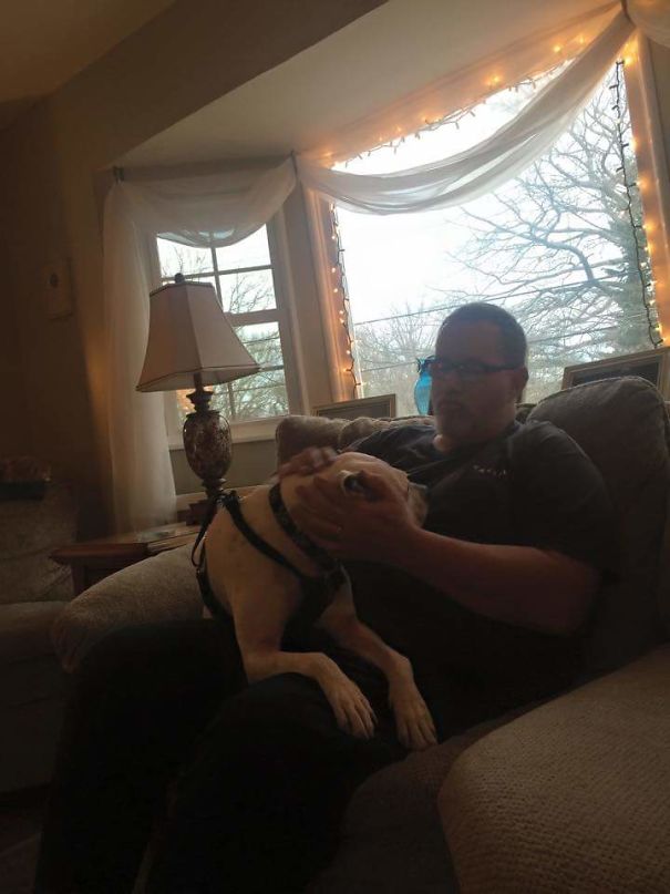 He Never Wanted Anymore Animals.