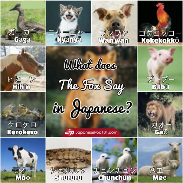 How Am I Supposed To Concentrate On Learning Japanese Like This!?