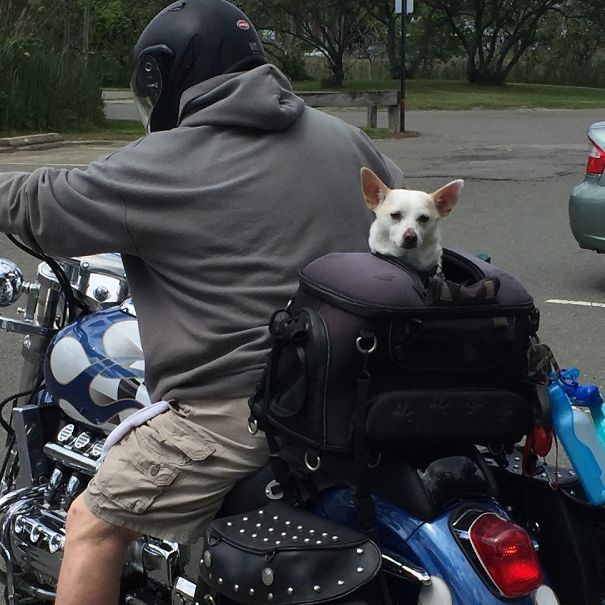 Can't Leave Home Without Him