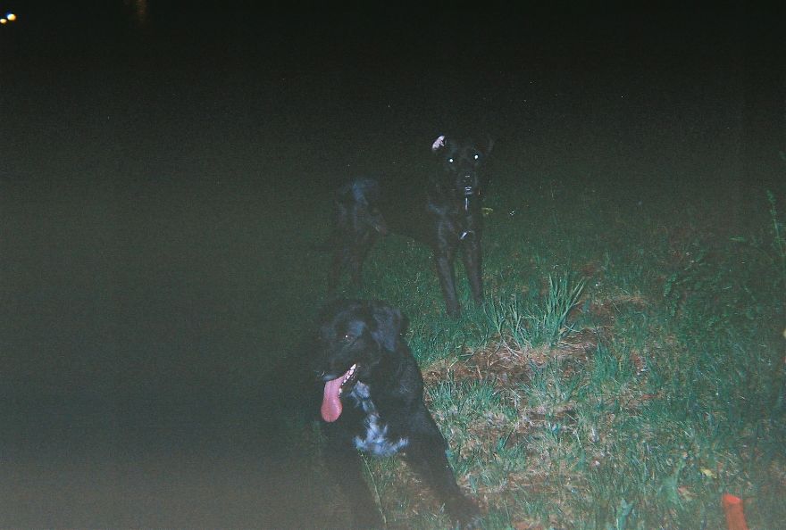 I Gave Single-Use Cameras To Viennese Punks To Capture Moments Of Their Life