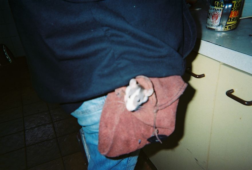 I Gave Single-Use Cameras To Viennese Punks To Capture Moments Of Their Life