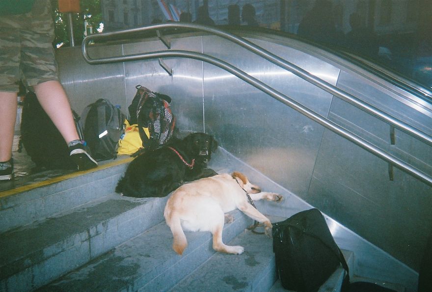 I Gave Single-Use Cameras To Viennese Punks To Capture Moments Of Their Life