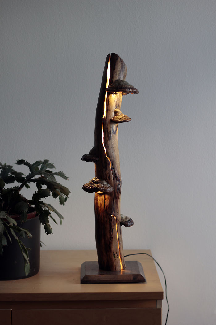 I Create Unique Lamps Out Of Real Mushrooms And Mountain Crystals I Create Unique Lamps Out Of Real Mushrooms And Mountain Crystals