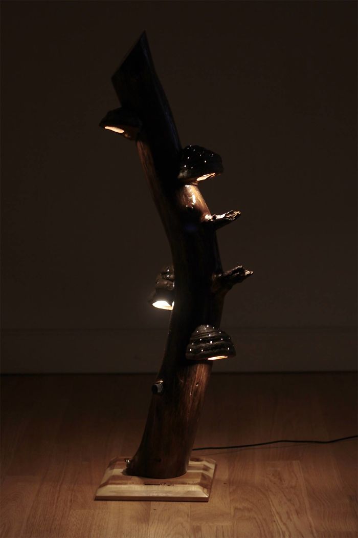 I Create Unique Lamps Out Of Real Mushrooms And Mountain Crystals I Create Unique Lamps Out Of Real Mushrooms And Mountain Crystals