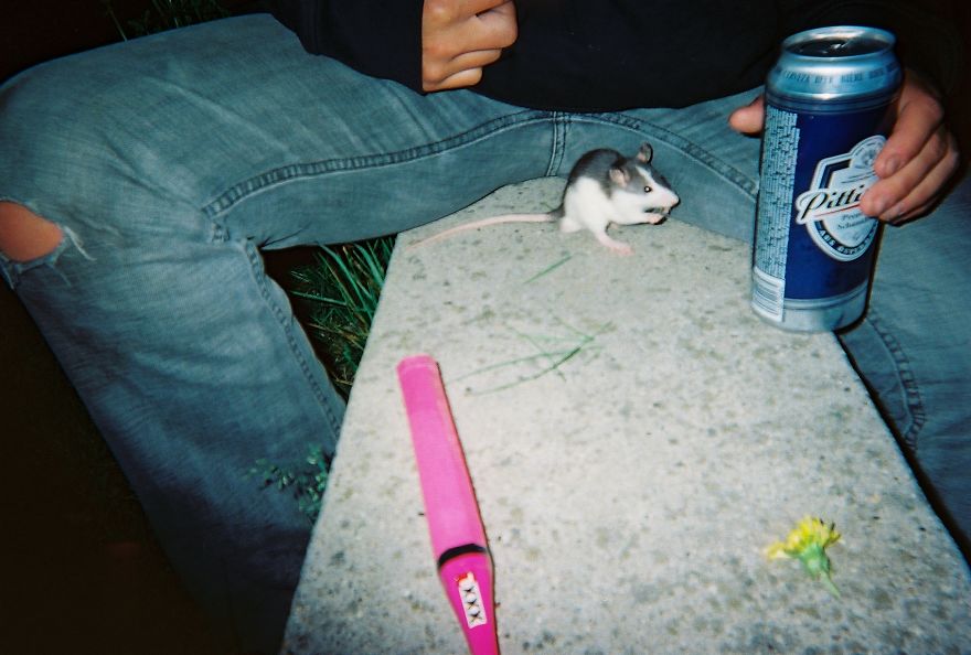 I Gave Single-Use Cameras To Viennese Punks To Capture Moments Of Their Life