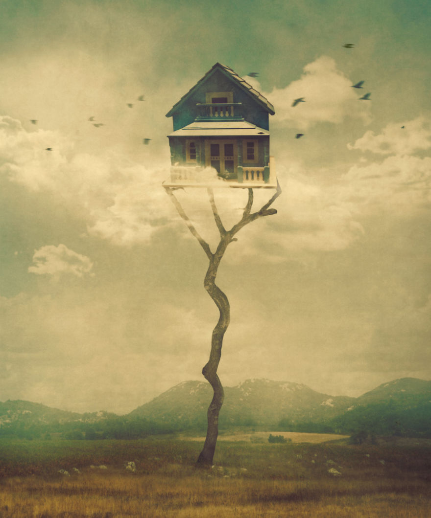 Bird House