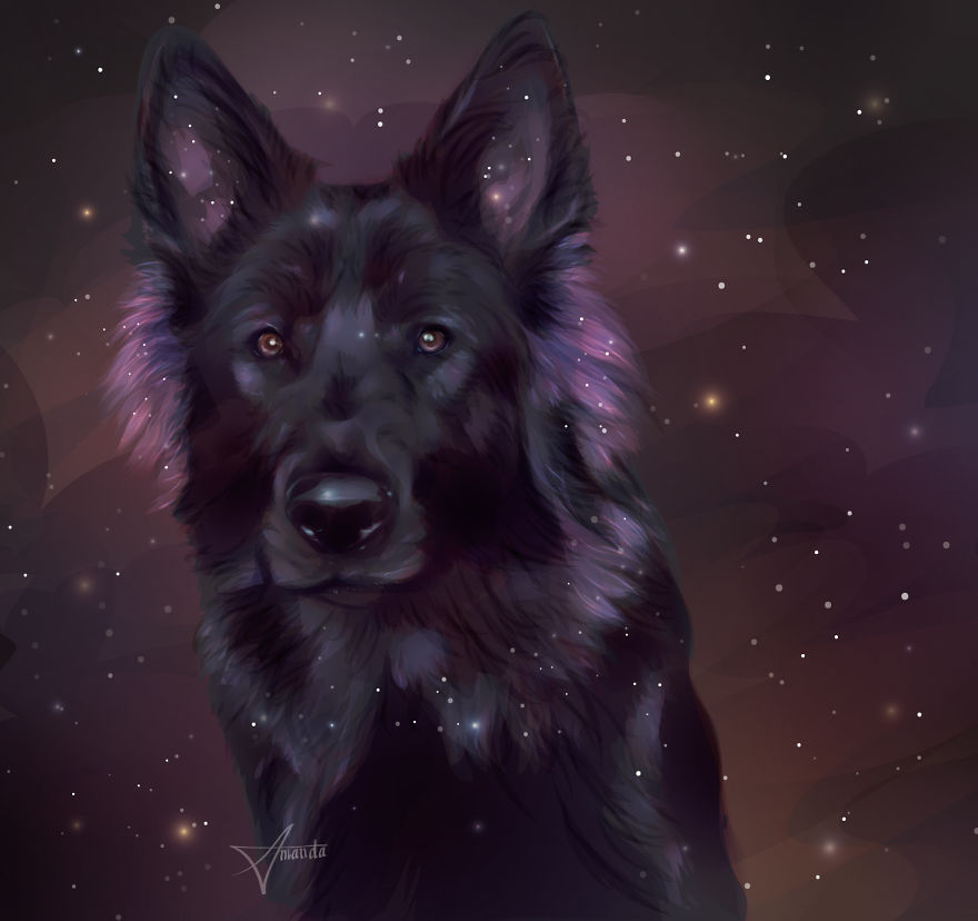 I Draw Digital Pet Portraits That Are Out Of This World