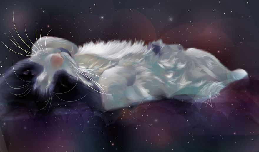 I Draw Digital Pet Portraits That Are Out Of This World I Draw Digital Pet Portraits That Are Out Of This World