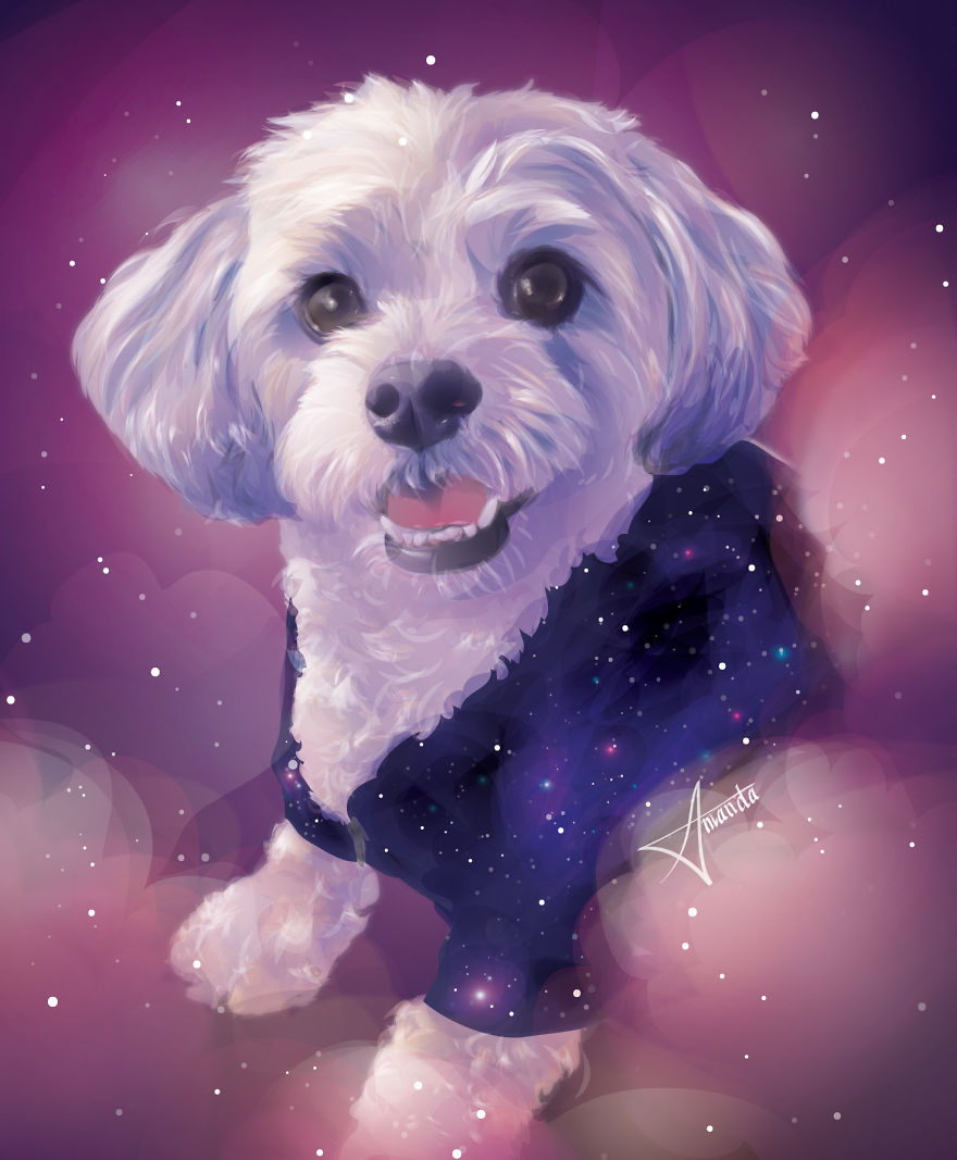 I Draw Digital Pet Portraits That Are Out Of This World I Draw Digital Pet Portraits That Are Out Of This World