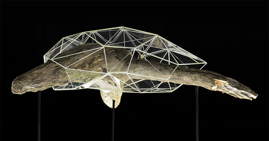 I Encapsulate Driftwoods With Little Floating Glass Architectures That Look Like Computerized Chrysalis I Encapsulate Driftwoods With Little Floating Glass Architectures That Look Like Computerized Chrysalis