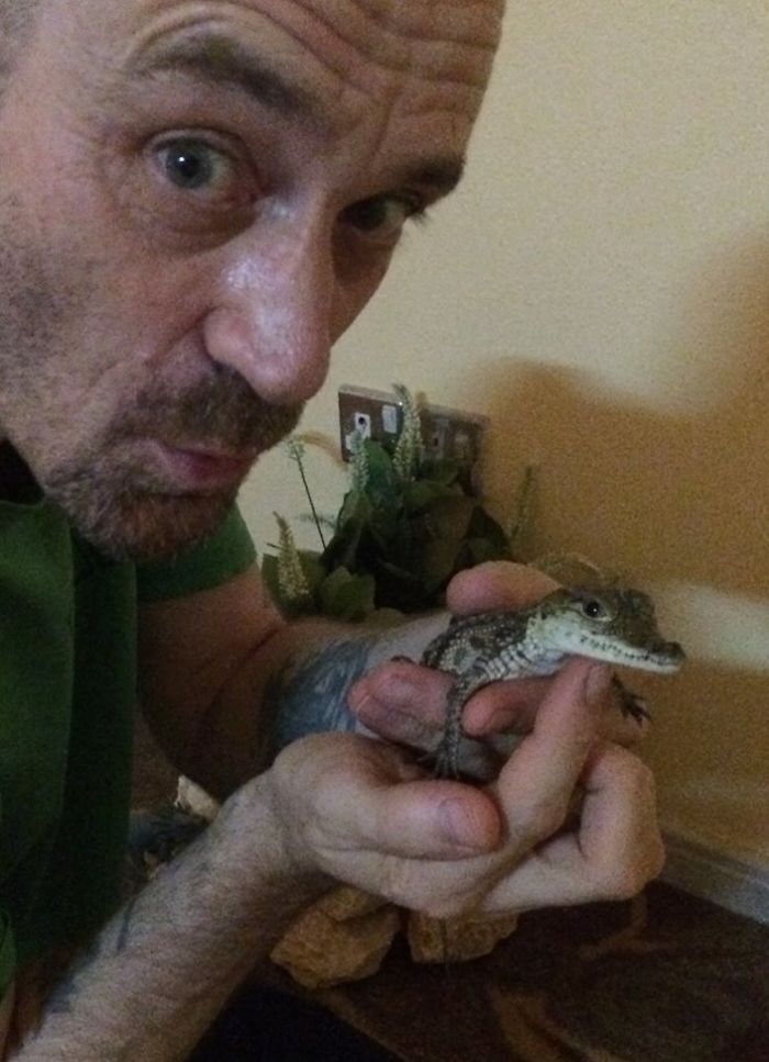 I Bought The Perfect Pet For My Husband! I Bought The Perfect Pet For My Husband!