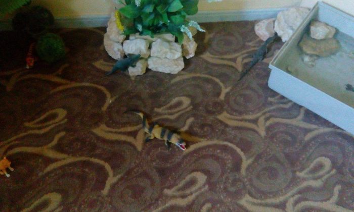 I Bought The Perfect Pet For My Husband! I Bought The Perfect Pet For My Husband!