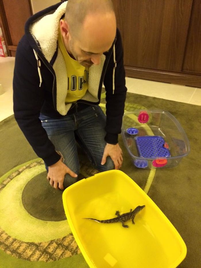 I Bought The Perfect Pet For My Husband! I Bought The Perfect Pet For My Husband!