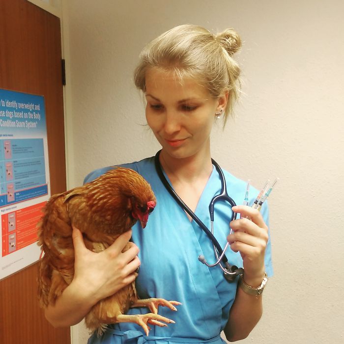 I Help All Creatures Great And Small